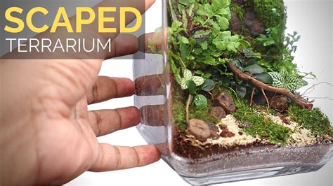 Learn To Build A Scaped Moss Wall Terrarium Youtube