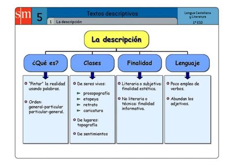 Mapa Conceptual De La Descripción Literaria Brainlylat