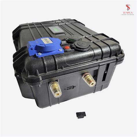 LiFePO4 аккумулятор 12,8V 53Ah с инвертором 600Вт (ECOFLOW 678Wh) (ID ...