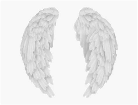 Angel Wings Aesthetic