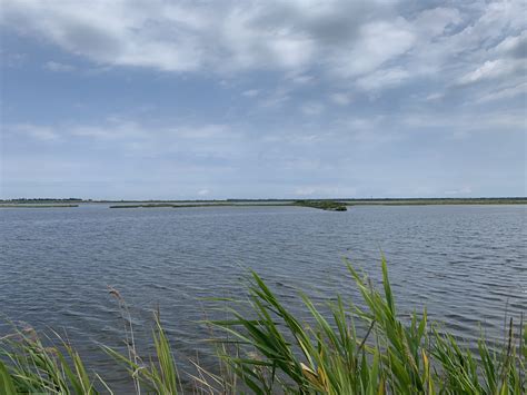 Giro Della Valli Del Delta Del Po In Bici Trekkyo Viaggi E Itinerari