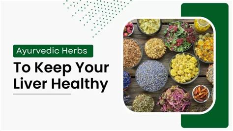 PPT Ayurvedic Herbs To Keep Your Liver Healthy PowerPoint