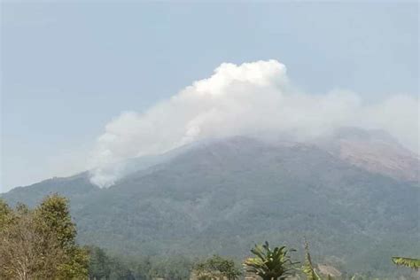 Api Di Gunung Sumbing Telah Lahap Hektare Lahan Antara News