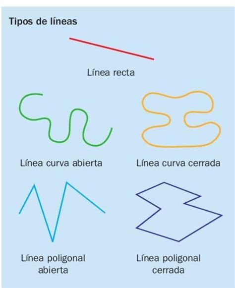 Em Geral 96 Imagen Lineas Rectas Curvas Y Poligonales Primaria Mirada