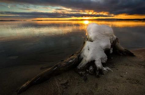 The Brosno Dragon: The Loch Ness Monster’s Evil Russian Cousin? | Ancient Origins