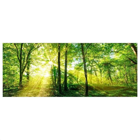 Glasbild 125x50 XL Wald Orange Panorama Wandbild Glasbilder Modern De