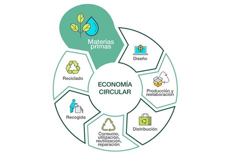 Economía circular todo lo que debes saber Arquitectura sociedad