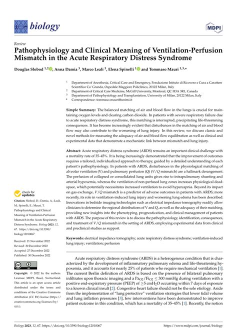 Pdf Pathophysiology And Clinical Meaning Of Ventilation Perfusion Mismatch In The Acute