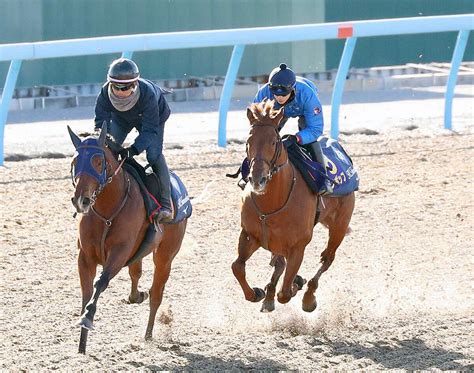 【フェブラリーs】レモンポップと坂井瑠星騎手が初コンタクト「イメージ通りすごく乗りやすい」ダート界新時代の幕開けだ Umatoku 馬トク