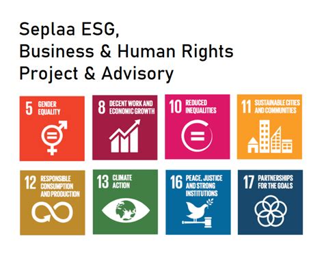 Esg Business And Human Rights Seplaa Enterprises