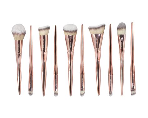 Meilisong Makeup Brush Set 10pcs Professional Foundation Eye Shadow Brushes Rose