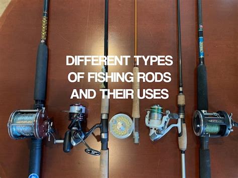 Different Types Of Fishing Rods And Their Uses