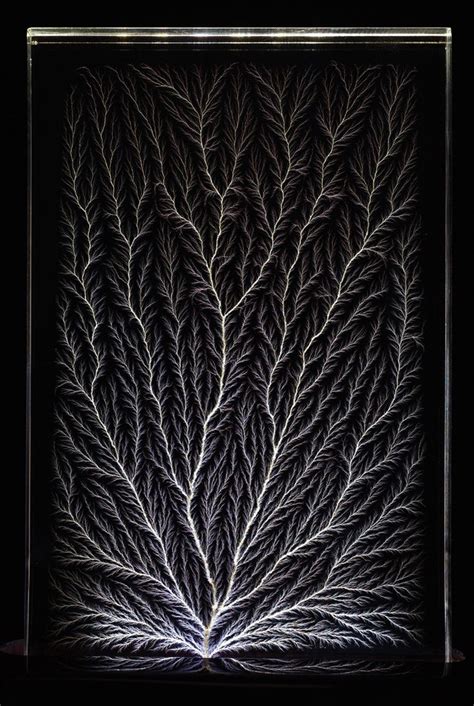 Lichtenberg Figure By Bert Hickman Lichtenberg Figures Art Inspiration Lichtenberg