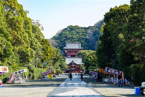 【鶴岡八幡宮】見どころいっぱいの源頼朝ゆかりの鎌倉のシンボル