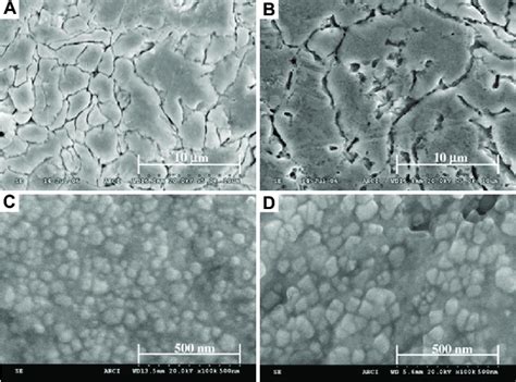 Microstructure Of A Copper Coating As Sprayed B Copper Coating Download Scientific