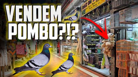 VENDEM POMBO DE RUA MERCADO CENTRAL DE BH Vlog YouTube