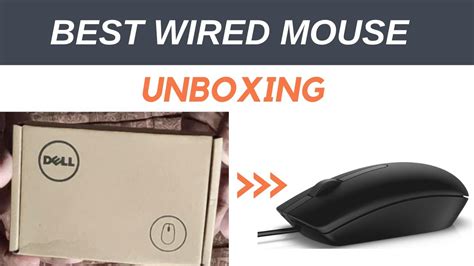 Best Wired Mouse Unboxing Dell Ms116 1000dpi Usb Wired Optical Mouse Youtube