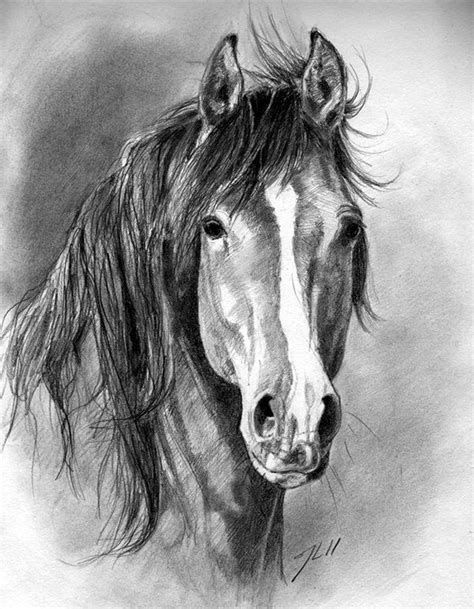 Animal Pencil Shading Drawing : Drawing Animals / Easy Pencil sketch ...