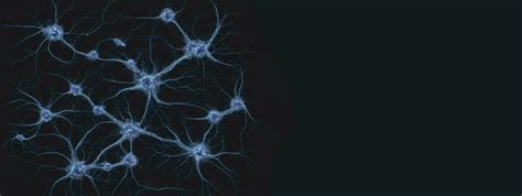 Neuronal Network With Electrical Activity Of Neuron Cells Generative Ai