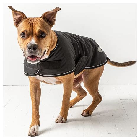 GF Pet Blanket Jacket Best For Pets