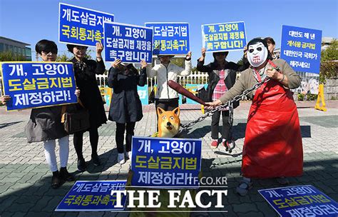 Tf포토 국회 앞 개·고양이 도살금지법 제정 촉구 포토 기사 더팩트