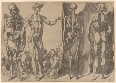 Domenico Del Barbiere Two Flayed Men And Their Skeletons The Met