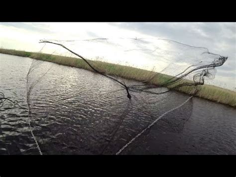 Рыбалка на кастинговую сеть. Разнорыбье. - YouTube