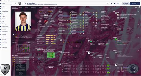 Stato Skin Version Fm Football Manager Skins Fm Football