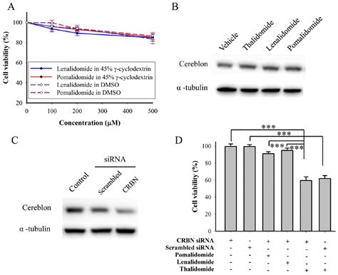 Role Of Cereblon In Bfct905 Cells Treated With Imids A The Viability