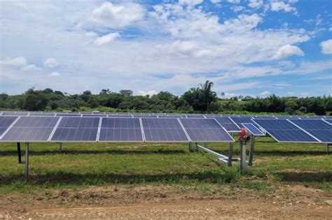 Edp Inaugura Complexo Solar De Mwp Em Trememb Sp Canal Solar