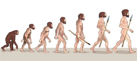 الانسان البدائي ومراحل تطوره عبر العصور إهتم بنفسك