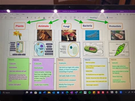 Classification And Evolution Flashcards Quizlet