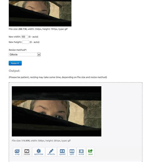 Forum | The Lion's Call