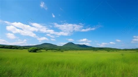 Green Grass Field With Mountains In The Distance, Grass Field ...