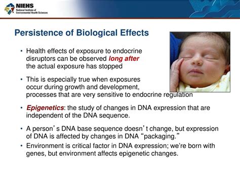 Ppt Endocrine Disruptors Where Do We Go From Here Powerpoint