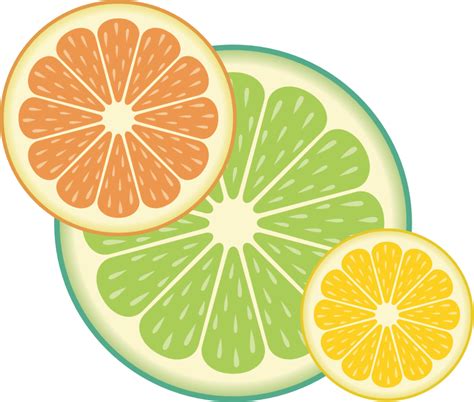 Citrus Fruits (#2) - Openclipart