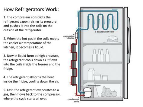 Fridge Diagram How It Works