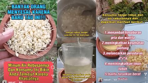 5 Manfaat Air Rebusan Tauge Untuk Kesehatan Banyak Yang Nyesel Karena