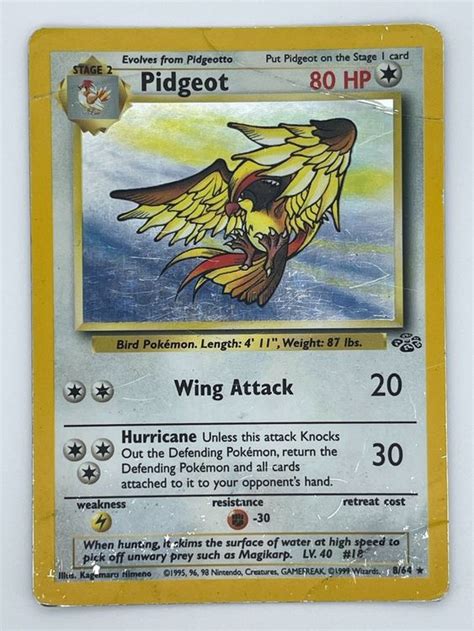 Pidgeot Holo Rare Pok Mon Jungle Kaufen Auf Ricardo