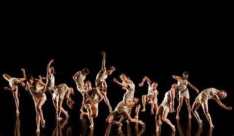 Review Verve By Northern School Of Contemporary Dance At Rhodes