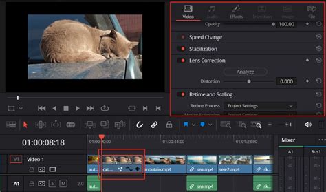 How To Copy Effects To Another Clip In DaVinci Resolve Clip Art Library