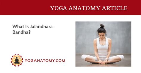 What Is Jalandhara Bandha Yoganatomy