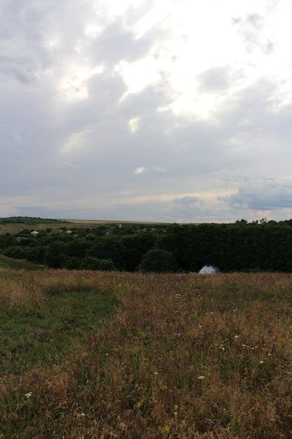 Um campo de grama e árvores Foto Premium