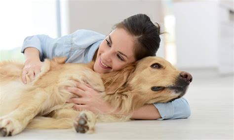 Descubre cómo calmar a un perro gracias a estos consejos