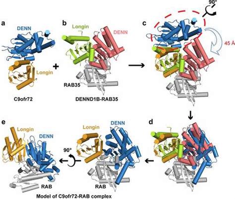 Full Article The Progress In C9orf72 Research ALS FTD Pathogenesis