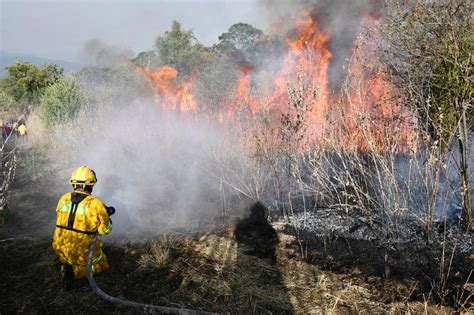 Protege Tu Salud De La Contaminaci N Del Aire Por Incendios Unam Global