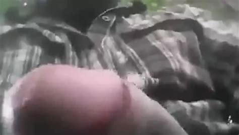 Str Mexican Gardener Gay Porn Xhamster