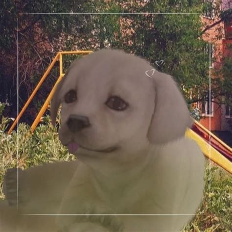 Собачка