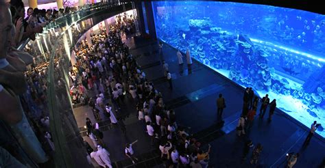 Dubai Aquarium And Underwater Zoo Is One Of The Largest Aquariums In The