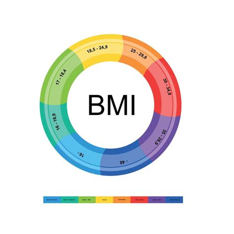 índice De Masa Corporal Clasificación Del Imc Ilustración Vectorial